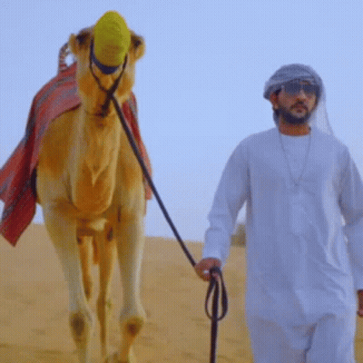 Man Leading Camel In Desert GIF