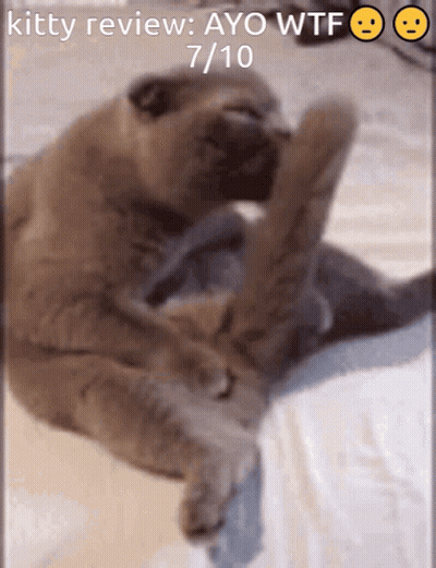 Man Licking Pink Object Saying Licking The 7/10 Split GIF