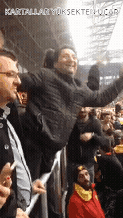 Man Lifted By Crowd At Stadium GIF