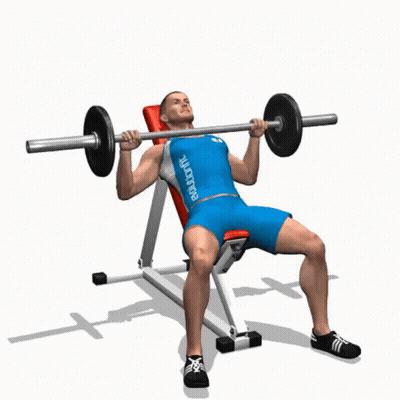 Man Lifting Barbell On Bench With Bodyfit Shirt