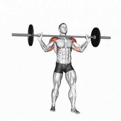 Man Lifting Barbell With Plate Over Shoulders GIF