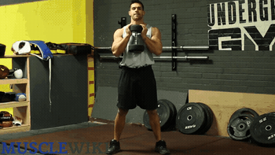 Man Lifting Dumbbell At Undergear Gym GIF