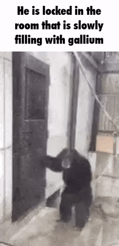 Man Locked In Room Filling With Gallium GIF