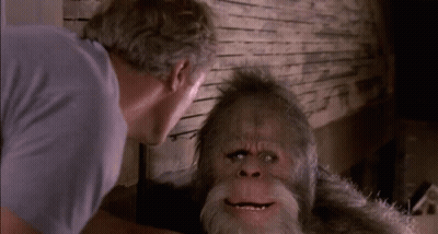 Man Looking At Bearded Monkey In Mirror GIF