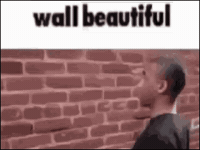 Man Looking At Brick Wall GIF