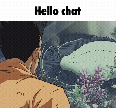 Man Looking At Fish In Aquarium Saying Hello Chat GIF