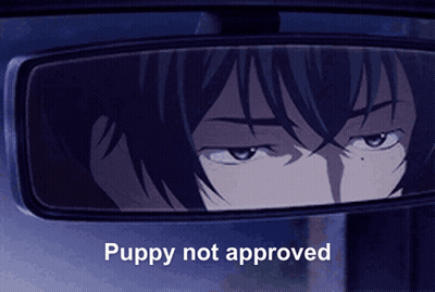 Man Looking In Rear View Mirror Puppy Not Approved GIF