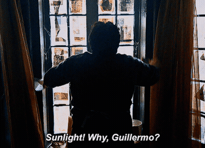Man Looking Out Window Sunlight Why Guillermo GIF