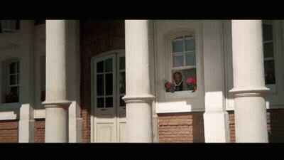 Man Looking Out Window With Flowers GIF