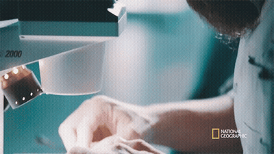 Man Looking Through Microscope With National Geographic Logo GIF