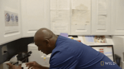 Man Looking Through Microscope With Wild Logo