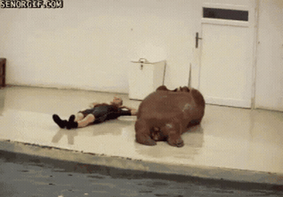 Man Lying Next To Hippopotamus GIF
