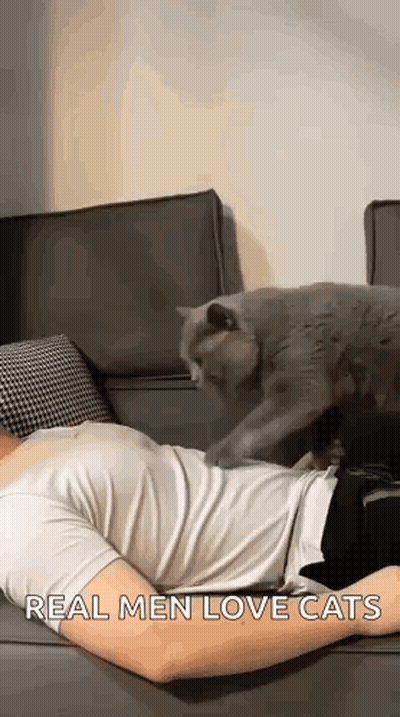 Man Lying On Couch With Cat Playing GIF