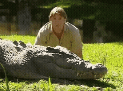 Man Lying On Large Alligator In Grass GIF