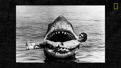 Man Lying On Shark Float In Ocean GIF