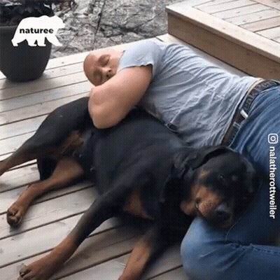 Man Lying On Wooden Deck With Dog And Naturee Logo GIF