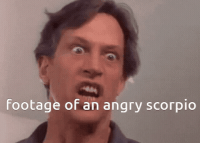 Man Making Funny Face Footage Of An Angry Scorpio GIF