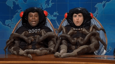Man Mosquito Costume   GIF