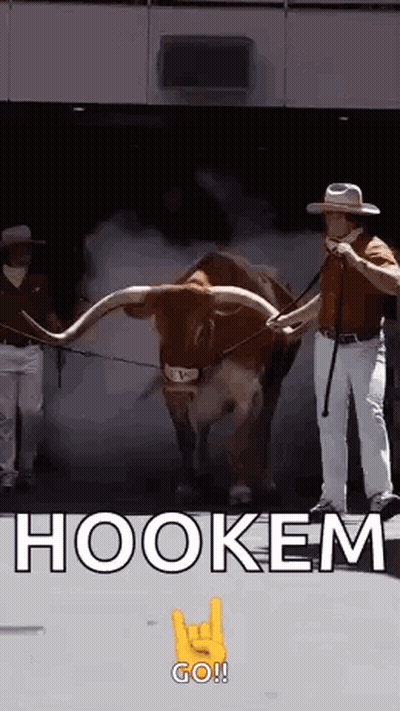 Man Next To Bull With Long Horns And Hookem Go Sign GIF