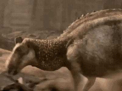 Man Next To Horse Saying True GIF