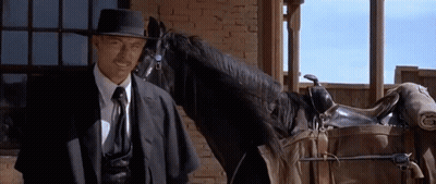 Man Next To Horse With Saddle GIF