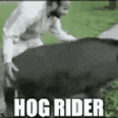 Man Next To Large Black Pig Saying Hog Rider GIF