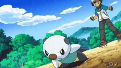 Man Next To Small White Animal GIF