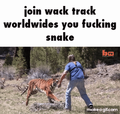 Man Next To Tiger Saying Join Wack Track Worldwides You Fucking Snake GIF