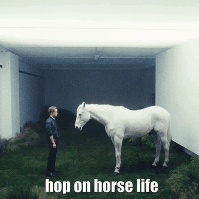 Man Next To White Horse Hop On Horse Life GIF