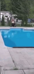 Man On A Snowmobile Crossing Swimming Pool GIF