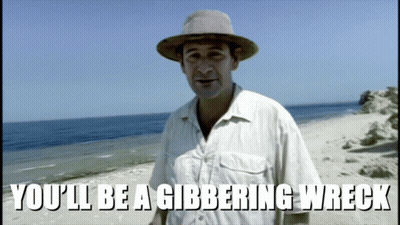 Man On Beach Saying You'll Be A Gibbering Wreck GIF