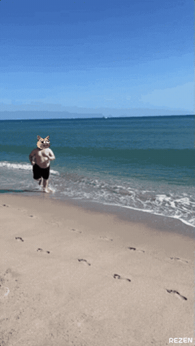 Man On Beach With Cat Face On Head GIF