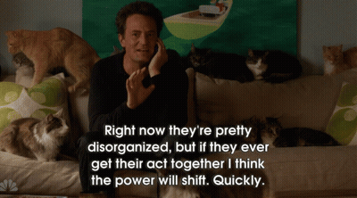 Man On Couch Talking On Phone With Cats Behind GIF