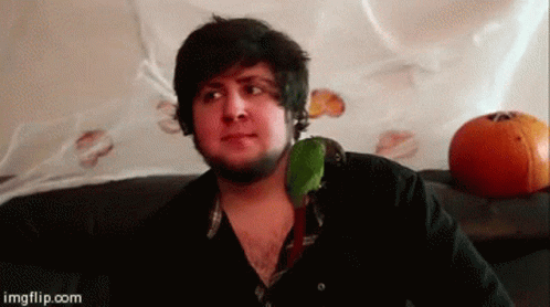 Man On Couch With Avocado On Neck And Pumpkin GIF
