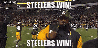 Man On Football Field Says Steelers Win GIF