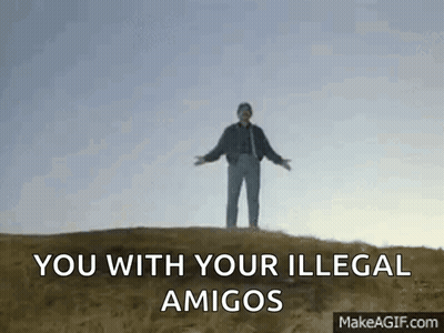 Man On Hill With Arms Outstretched Saying You With Your Illegal Amigos GIF
