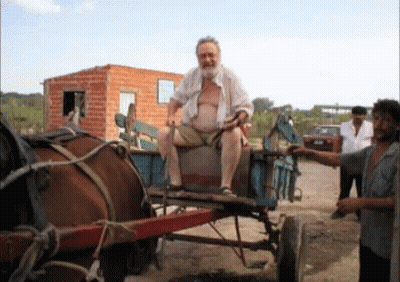 Man On Horse-Drawn Carriage GIF