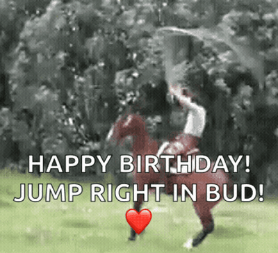Man On Horse Jumping Happy Birthday Jump Right In Bud GIF