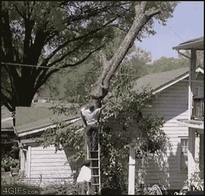 Man On Ladder Climbing Tree In Front Of House GIF