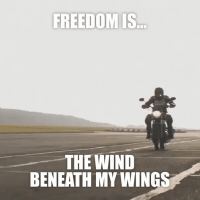 Man On Motorcycle Freedom Is The Wind Beneath My Wings GIF