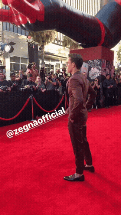 Man On Red Carpet Next To Zegnaofficial Sign GIF