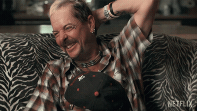 Man On Zebra Print Couch With Netflix GIF