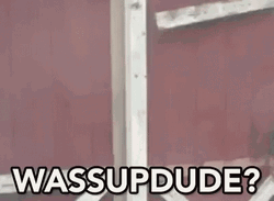 Man Opening The Door Suh Dude GIF