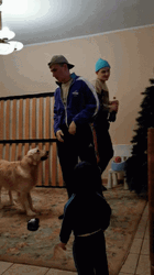 Man Pass Out Near Dog GIF