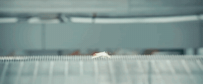 Man Peeking From Behind Fence GIF