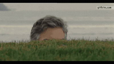 Man Peeking Out Of Grass With Gifbin.com GIF