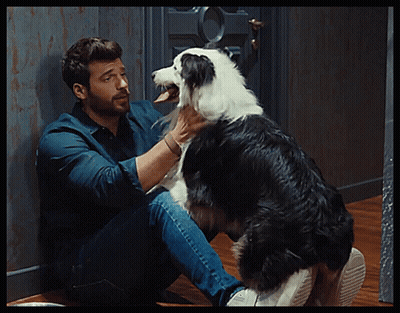 Man Petting Black And White Dog GIF