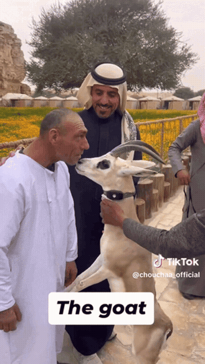 Man Petting Goat The Goat On The Bottom GIF