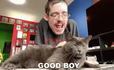 Man Petting Gray Cat Saying Good Boy GIF