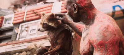 Man Petting Raccoon With Letter R GIF